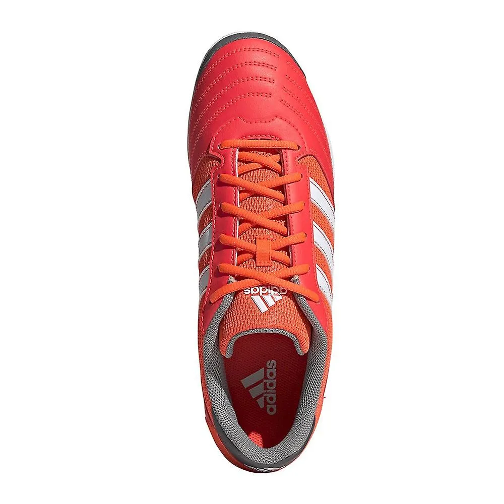 Adidas Super Sala IN GV7593 football all year men shoes