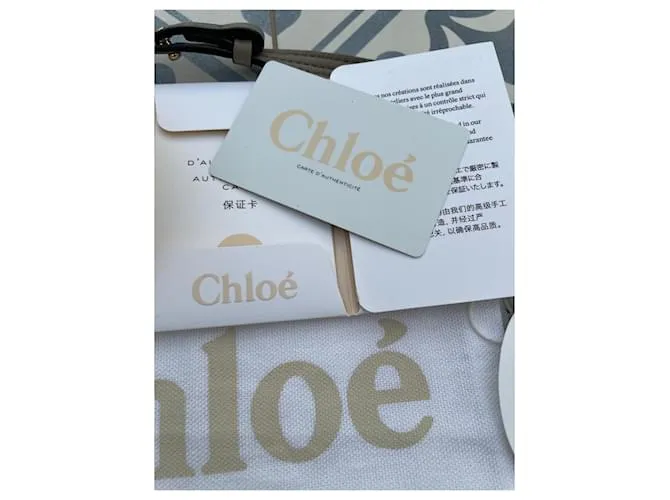 Faye Chloé Bolsos de mano Beige 