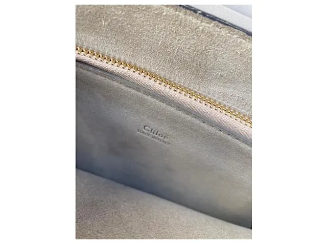 Faye Chloé Bolsos de mano Beige 