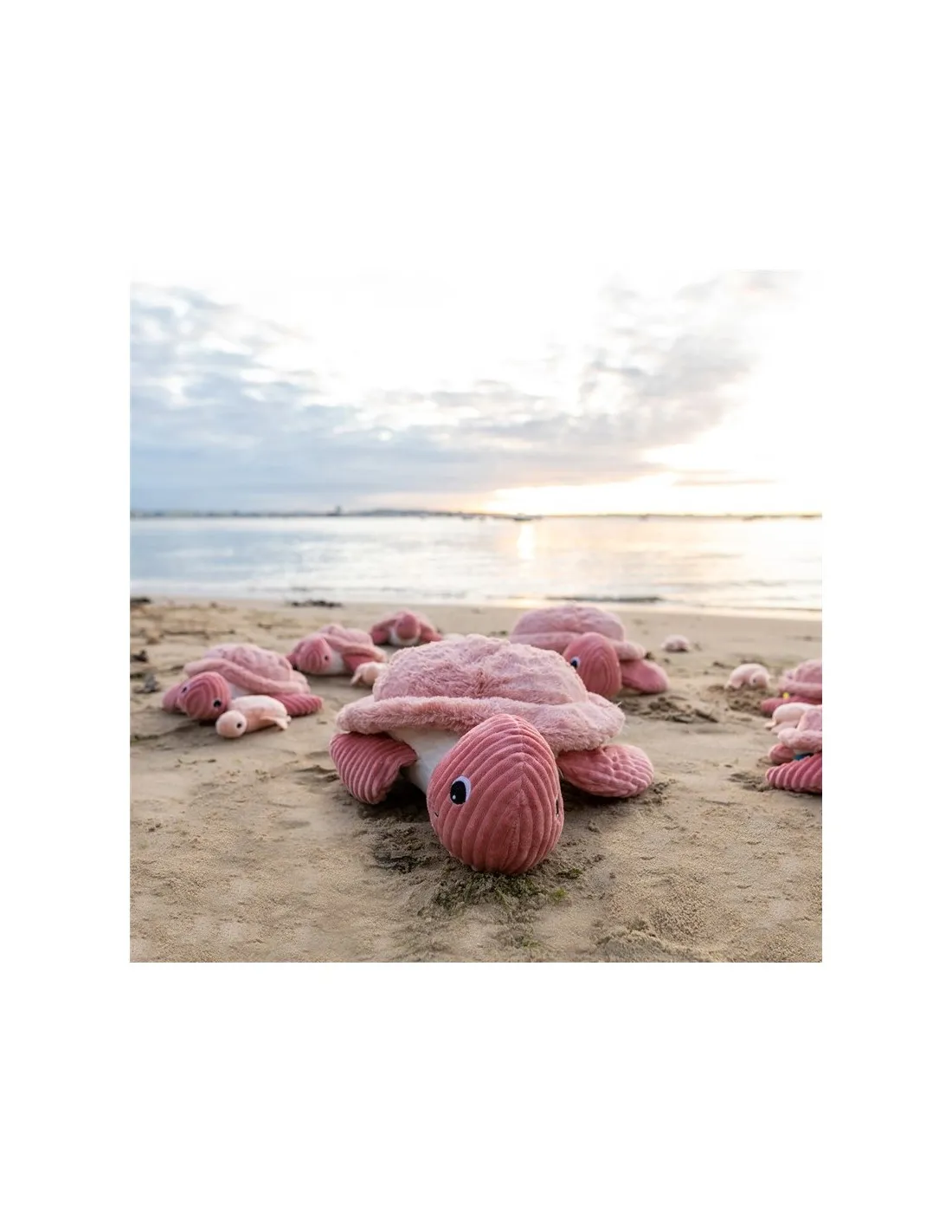 Peluche tortuga gigante rosa ptipotos Déglingos