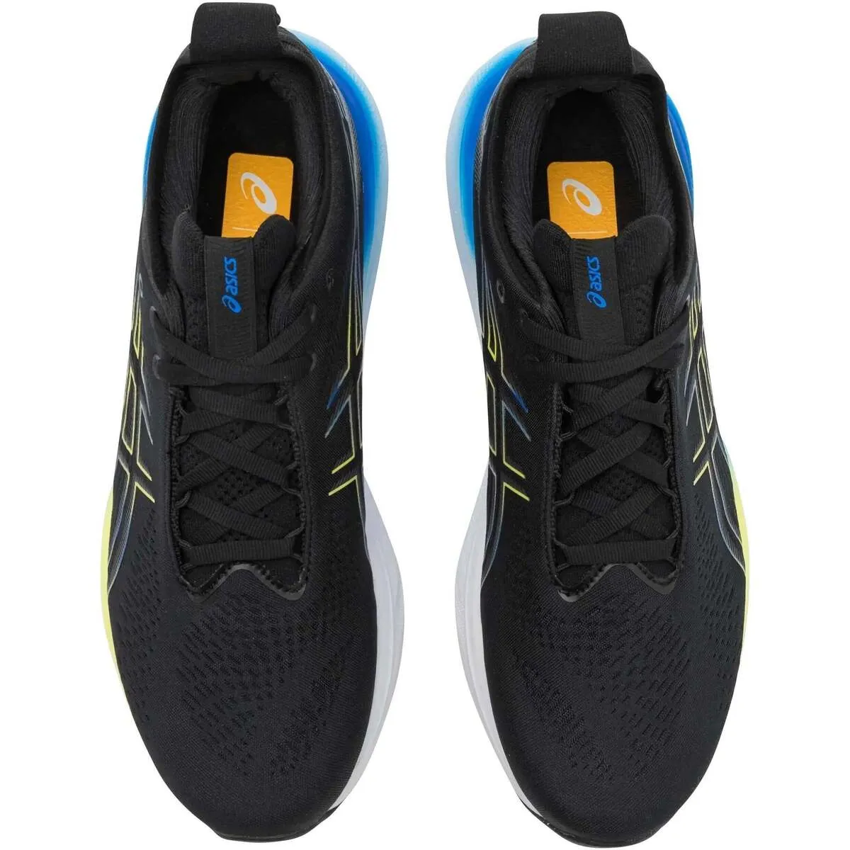 Zapatillas de running Gel-Nimbus 25